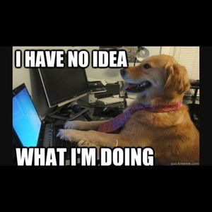 Meet your Posher, Nic